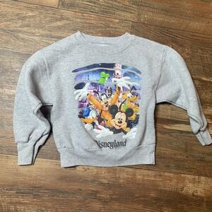 Kids Disney Disneyland Resort Sweater  XS 5-6 Gray Hanes
